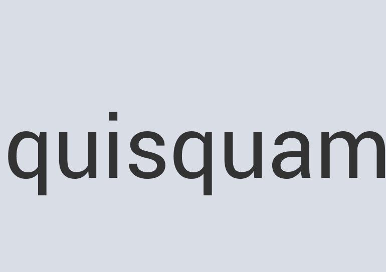 Aerodynamic Leather Bamboolong