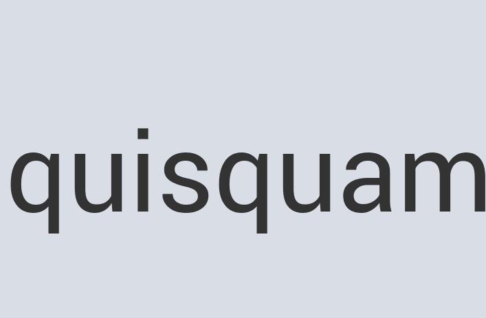 Gorgeous Leather Mad Grahams