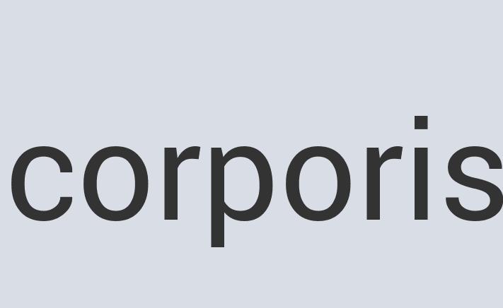 Aerodynamic Plastic Teledrone